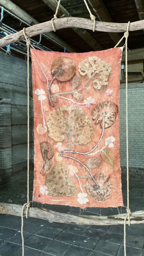 Ecoprint / Bianca Plune