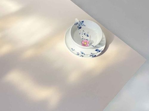 Gerie-Janne van Dinter