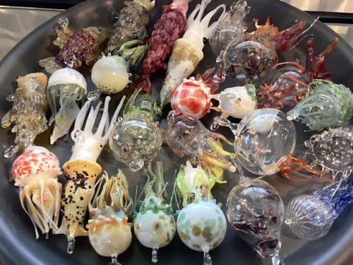 Kwallen, kelp en krill / Marjan Smit