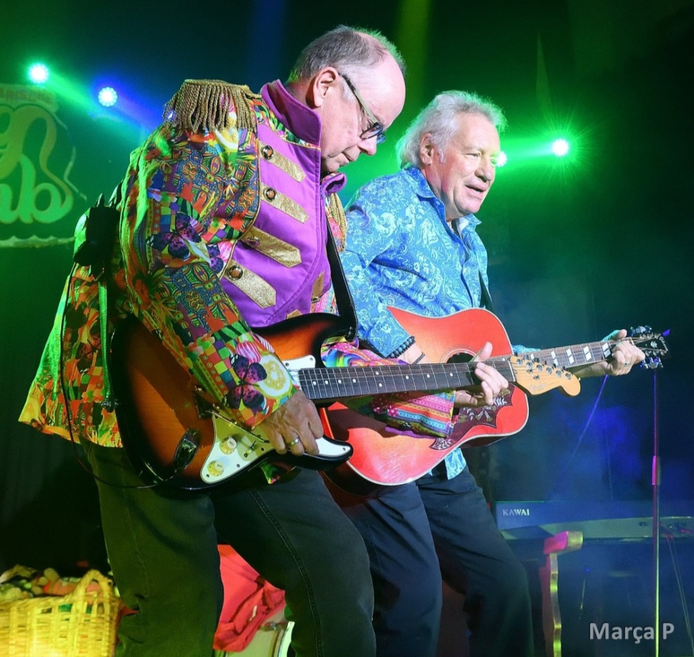 Muziek festival Goedereede