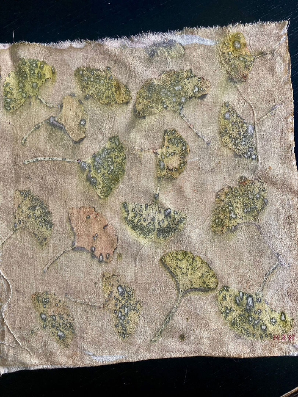 Ecoprint / Bianca Plune