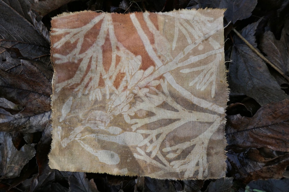 Ecoprint / Bianca Plune