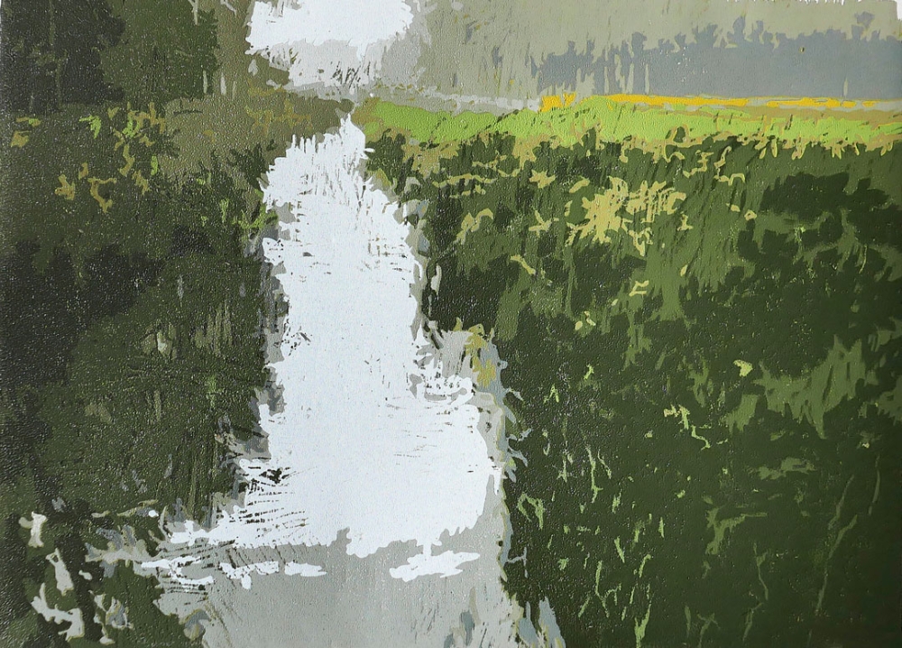 Houtsnedes / Hans Dillesse