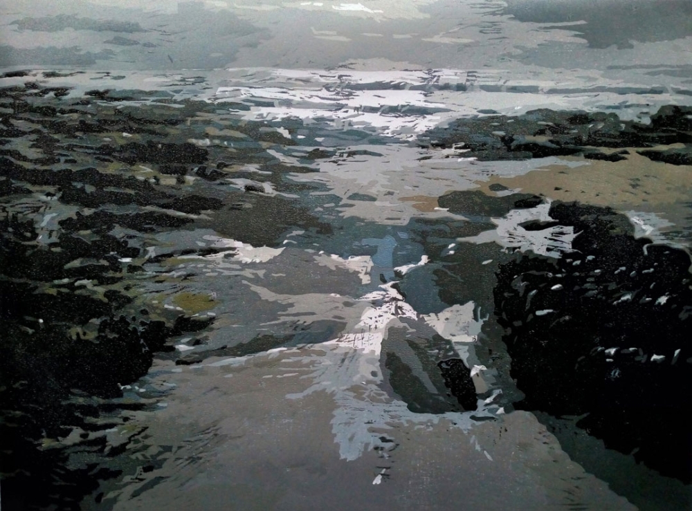 Houtsnedes / Hans Dillesse