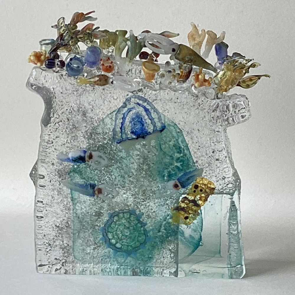 Kwallen, kelp en krill / Marjan Smit