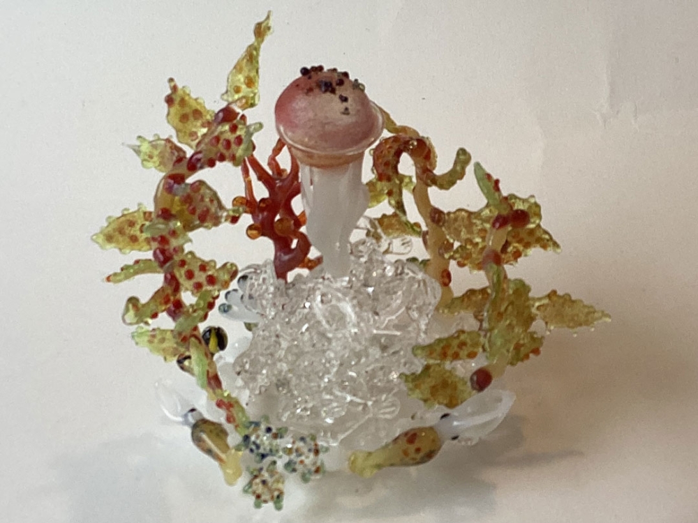 Kwallen, kelp en krill / Marjan Smit