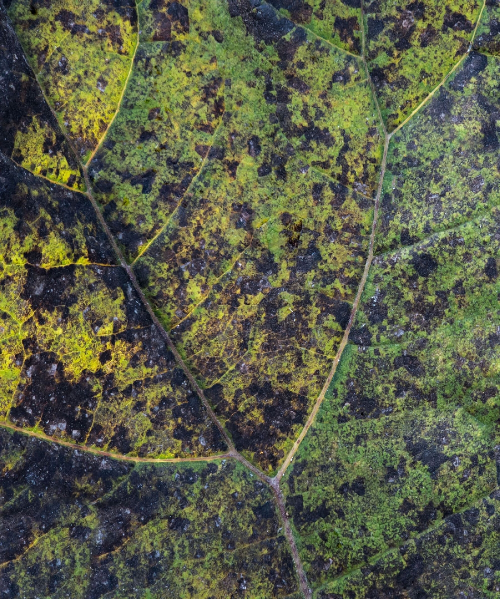 Abstractie / Theo Mastenbroek