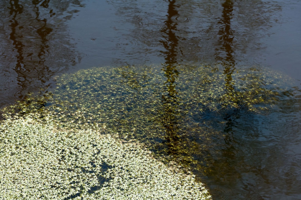 Abstractie / Theo Mastenbroek