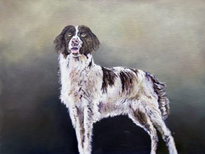 hond2-1024×771